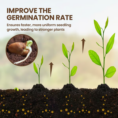 🔥Last Day 70% OFF-🌱Soil Activated Treasure-You Will Be Amazed!