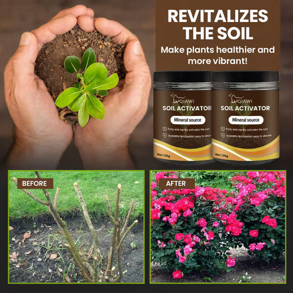 🔥Last Day 70% OFF-🌱Soil Activated Treasure-You Will Be Amazed!