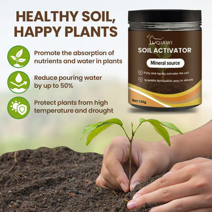 🔥Last Day 70% OFF-🌱Soil Activated Treasure-You Will Be Amazed!